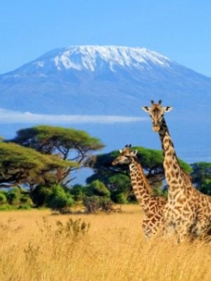 kenya