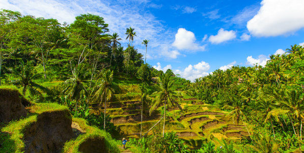 Indonésie - Combiné Ubud, Lombok & Kuta
