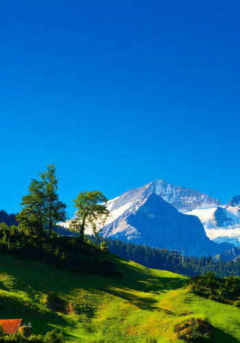 Vacances à la montagne
