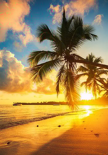 Plage coucher de soleil