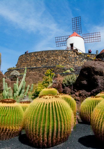 Séjour Canaries