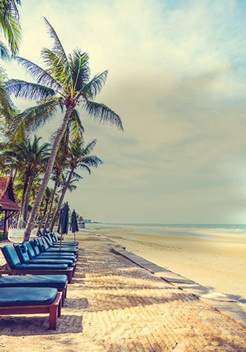 Destinations tendances