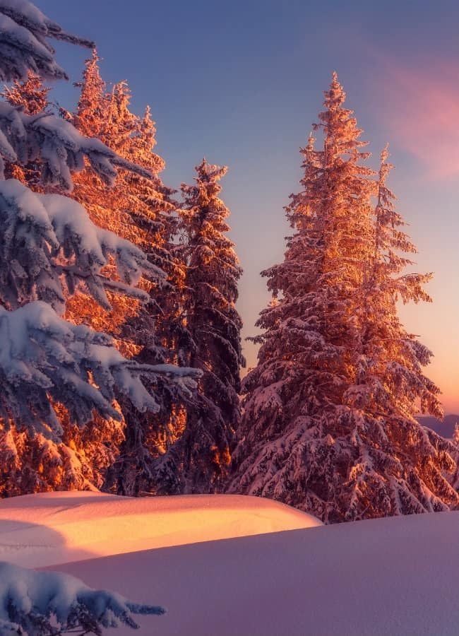 <h3>Où partir en janvier ?</h3>