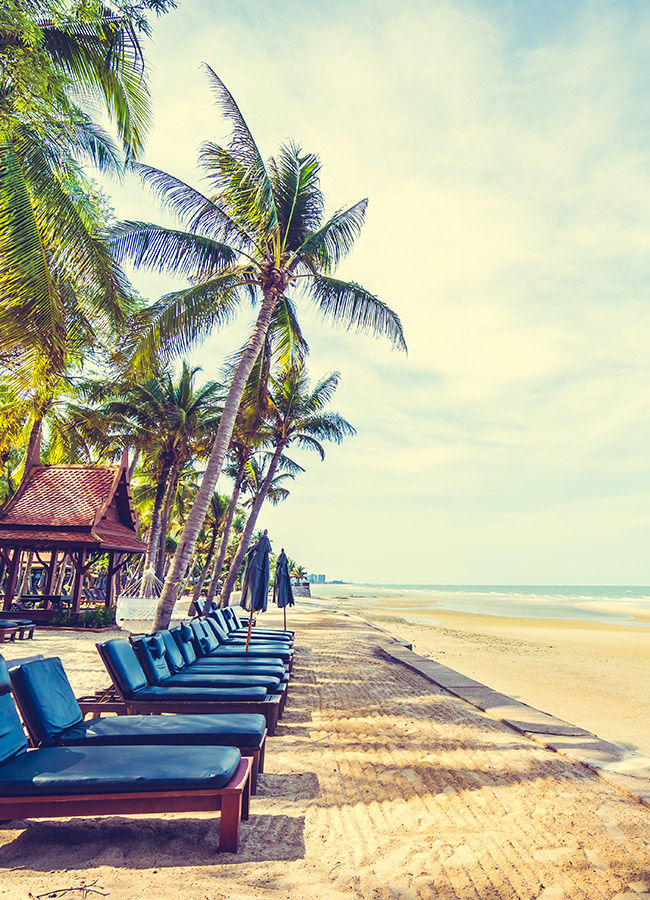 <h3>Destinations tendance <br />en 2024</h3>