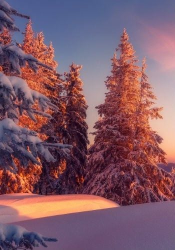 Destinations pour Janvier