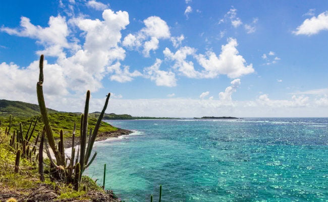 Location bord de mer <br />en Martinique