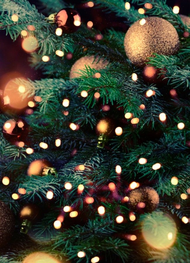 <h3>Où partir à Noël ?</h3>