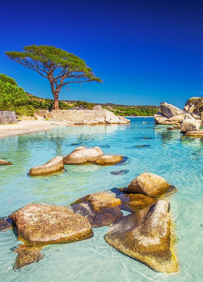 Campings en Corse