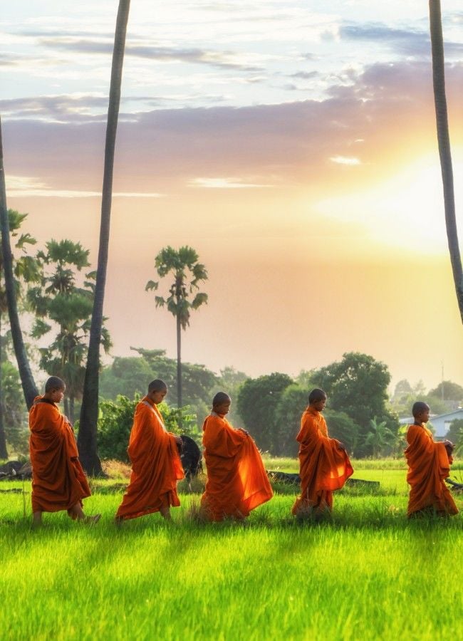 <h3>Où partir selon la saison ?</h3>