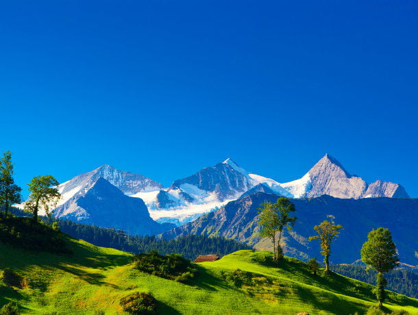 Vacances à la montagne en juillet
